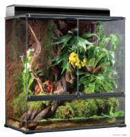 Terrario para Ranas Dardo